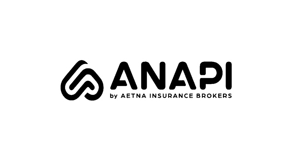 anapi_logo